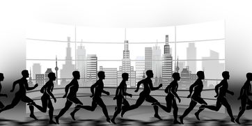 米兰体育登录入口官网-NBA球队赛事安全管理体系建设，nba球队管理系统数据库