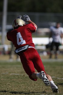 米兰体育官网入口-中超球队赛前战术布置与实战还原度评估，中超比赛分析