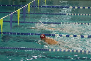 milanAPP下载入口官网-全国公开水域游泳赛长江赛段人气爆棚